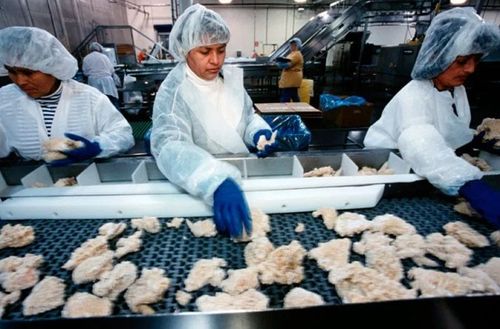 豬崽 安樂死 蔬菜爛地里......疫情撕裂食品供應鏈 美國民眾 口糧 難安